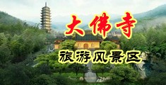 舔屁眼尿尿免费观看网站中国浙江-新昌大佛寺旅游风景区